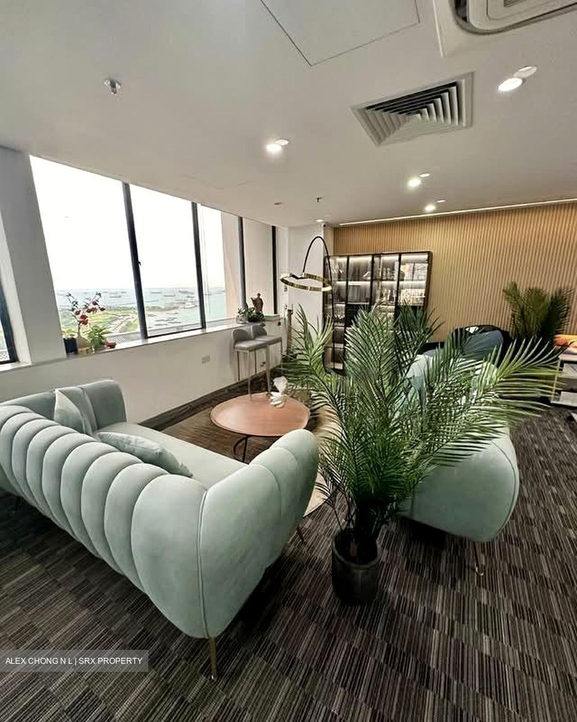 International Plaza (D2), Office #557091731